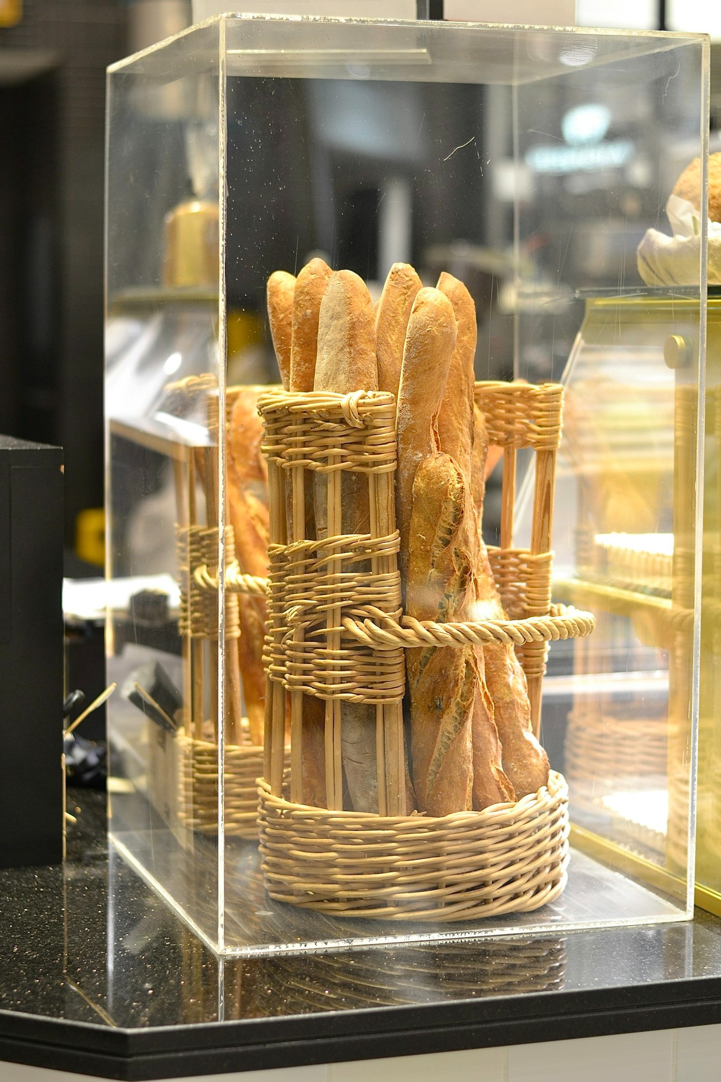 How YNLFRESHLINE Is Redefining Freshness